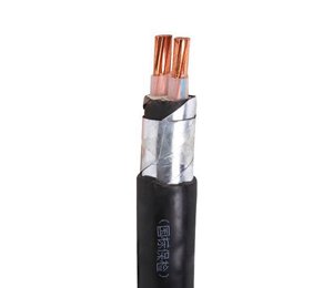 金联宇铠装电缆YJV22-0.6/1KV-2*25